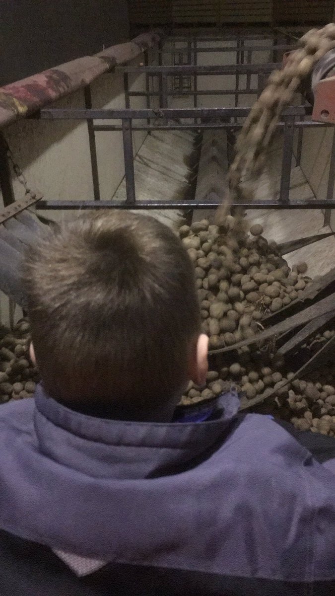 Het mooiste deel van vader zijn. Met de kleine man aan het werk zijn