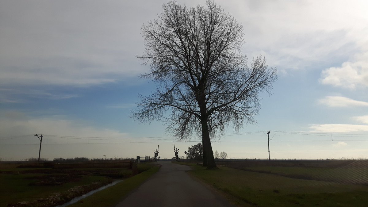 SnijderWiebe's tweet photo. Zonnig #hetweer #zon #natuur #polder https://t.co/FVPoHEUSBZ
