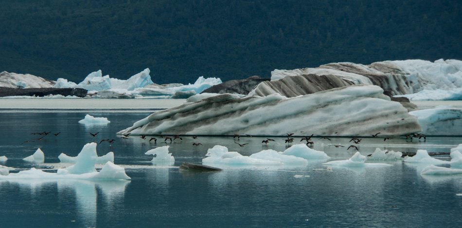 Unity2k's tweet image. On occasion I write a personal blog that follows the Dreams, Moments, and Travels of my wife and I. Here's an example of our whitewater rafting trip to the Yukon and Alaska last year:

johnwise.com/tag/alsek/