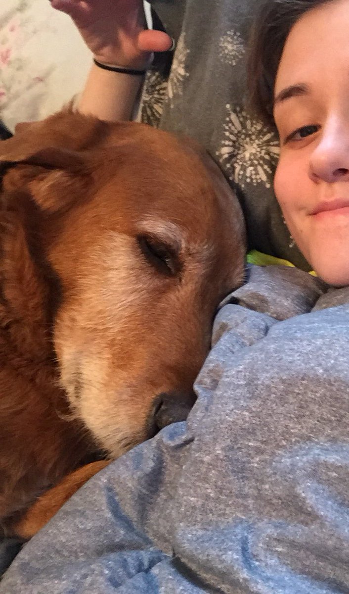 madiiiipadiii's tweet photo. ive been sick for the past few days and no matter where he's at in the house, if he hears me cough or move he gets up and runs to my bed. I don't deserve him 😭😭 https://t.co/sW8QpLbTPV