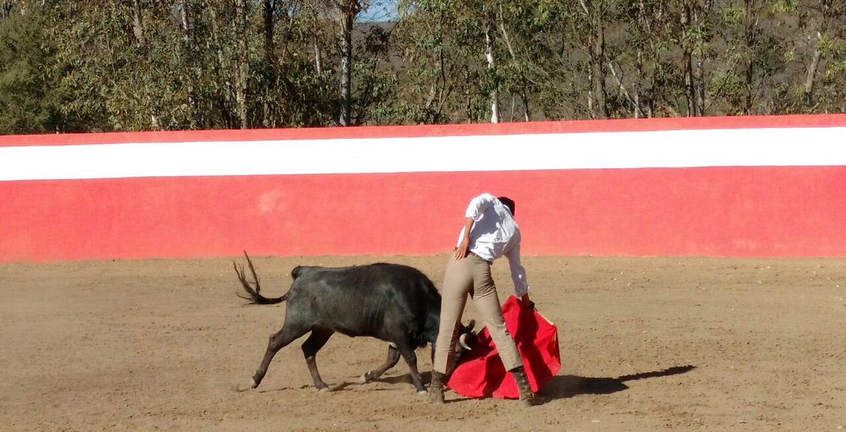 TauroNota's tweet photo. José M. Hermosillo, Héctor Gutiérrez y Jorge Salvatierra quienes a lado del Matador Payo tentaron 6 vacas en la casa ganadera de los Encinos. https://t.co/jkilXwnEYh