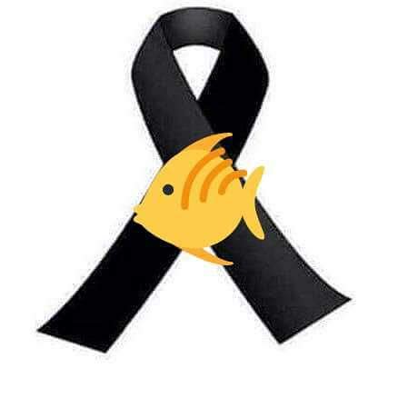 ANTONIO_RUANO tweet media