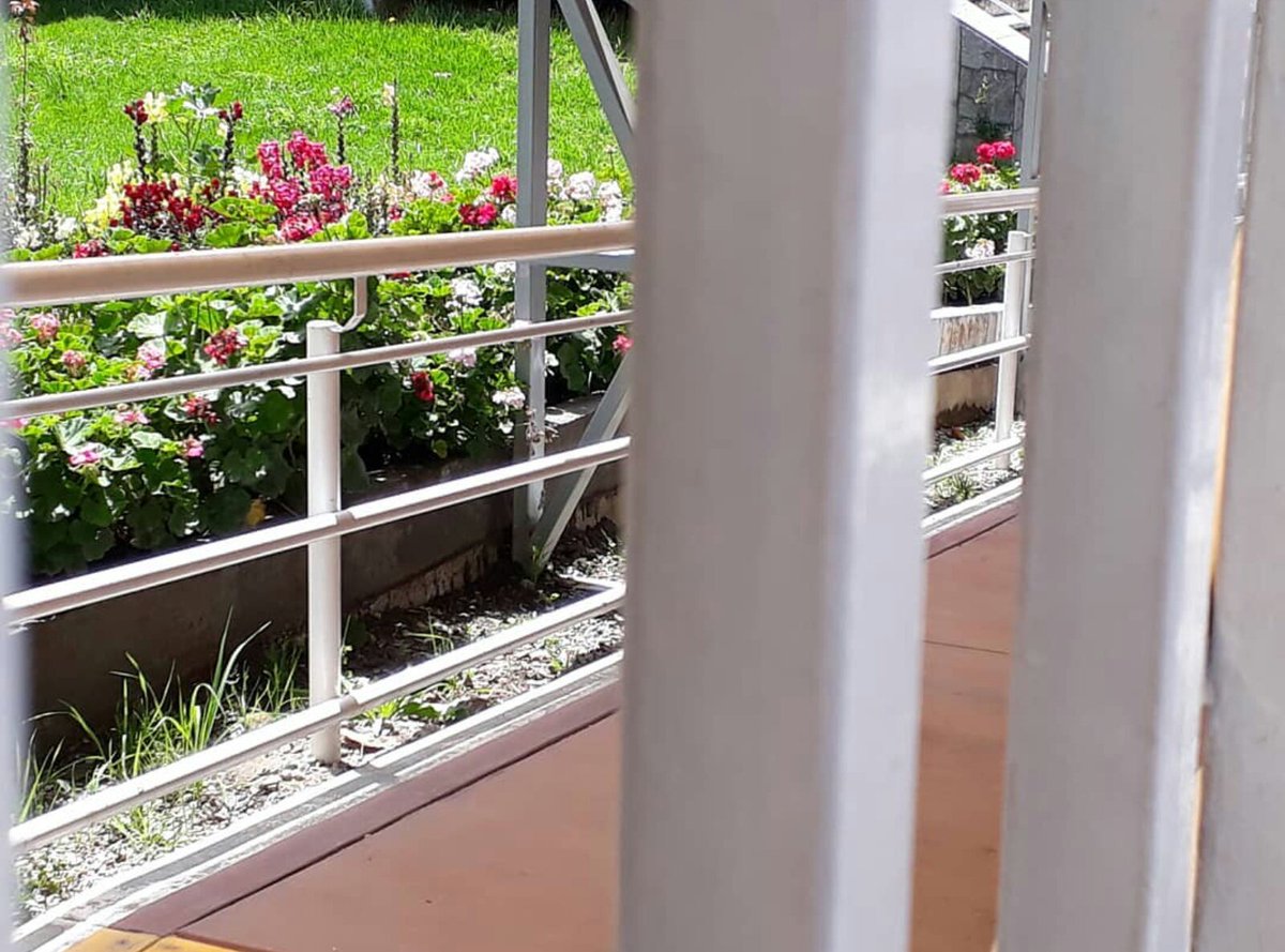 MarcosOitee's tweet photo. Siempre hay flores para el que desea verlas. https://t.co/vQGGWlw86P