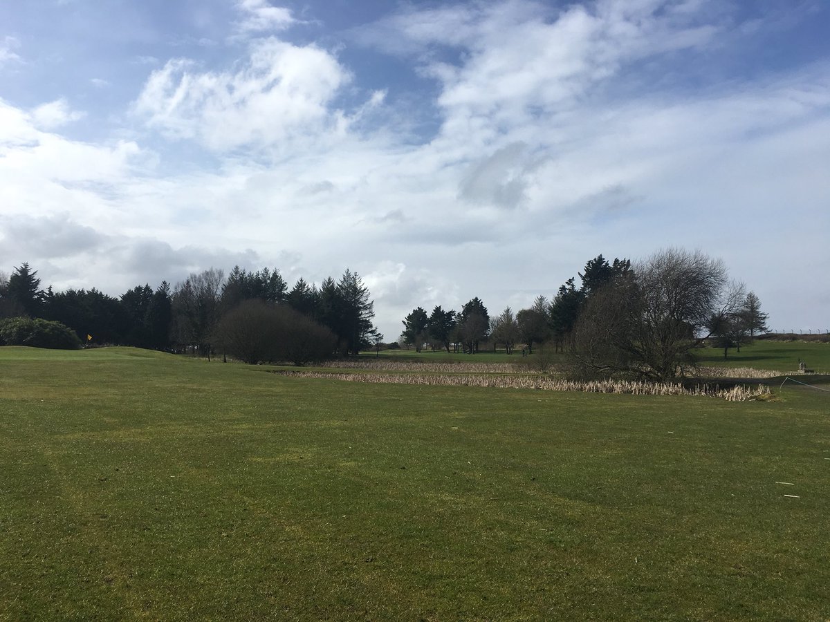 GolfShannon's tweet photo. Lovely day here at Shannon Golf Club, some pictures from our members. 18 holes open and 18 full greens. It was even short sleeve weather 😀☀️⛳️ #Golf #ireland #shannongolfclub https://t.co/FORJdbnI3L