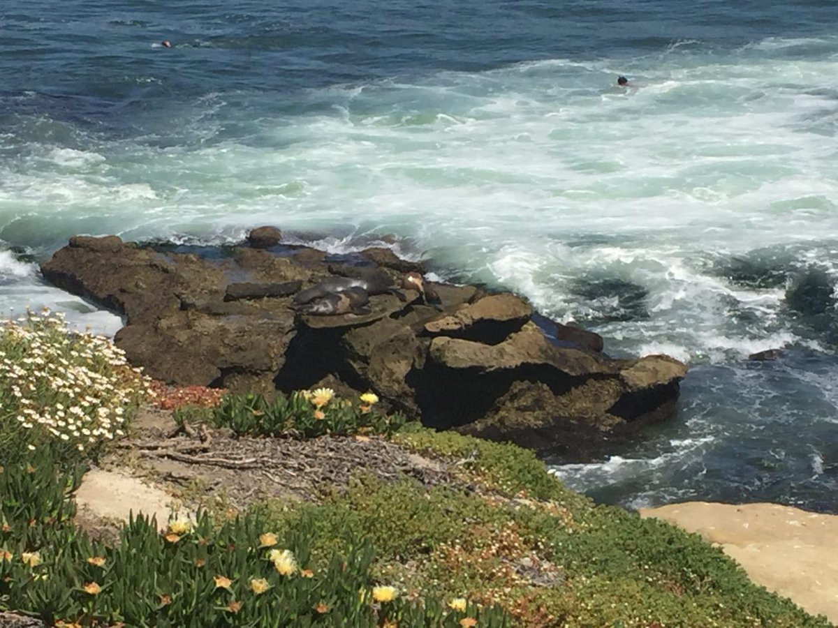 LaJolla Ca La Jolla trrvel.com/2017/09/10/laj…