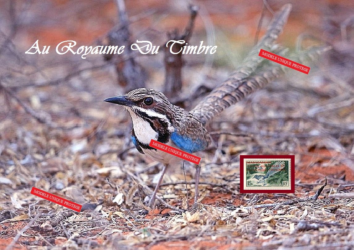 barbierjeanf's tweet image. Le brachyptérolle à longue queue, uratelornis chimaera, timbre vintage
ungrandmarche.fr/boutiques/p/ar…
#ungrandmarche #Brachyptérolle #Uratelornis #timbrevintage #Madacascar #surchargéTAAF #montagephotounique #madeinFrance #décoration #philatélie #oiseau #vertfoncé #outremer #neufluxe