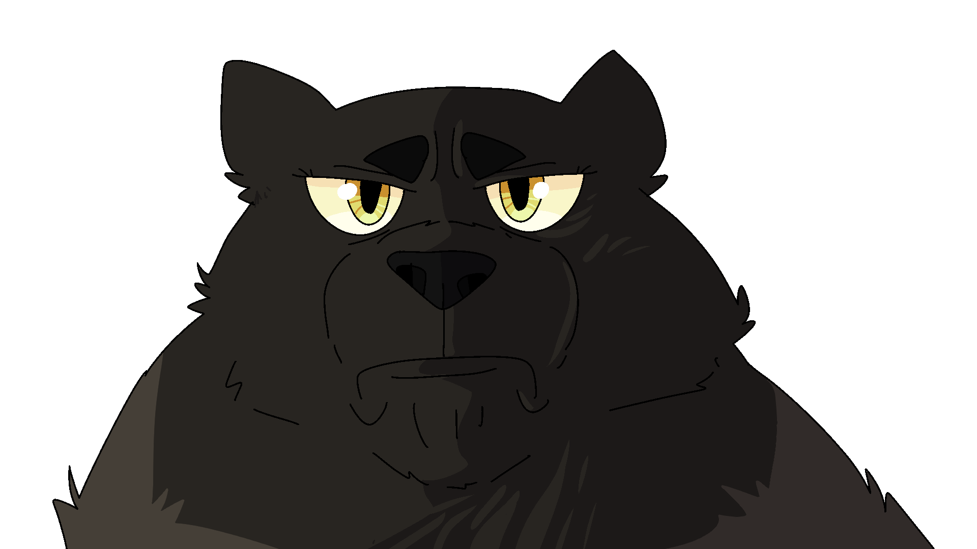 Lem On Twitter this Is My Cat s Default Expression 
