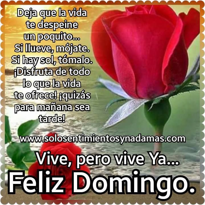 GrandisonLuis's tweet photo. Muy Buenos Dias, Desde Aqueduct Pista Buena,Temperatura,"41" Nuestro Ultimo Pool De 4   6a) 2,3,5. 7a) 2,4,6,7. 8a) 1,4,5,7. 9a) 2.  $24,00 Buena Suerte. https://t.co/6B58UjH3YL