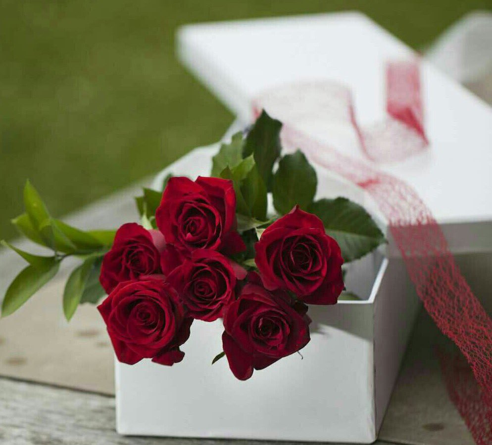 fooz24240's tweet photo. 🌹🍃( كن حامداً فقد سمع الله لمن حمده )
الحمدلله على نعمة الأشياء البسّيطة ...
التي رُغم بساطتها تُزهر قلوبنا 🍃🌹 https://t.co/IqpNdVYKBH