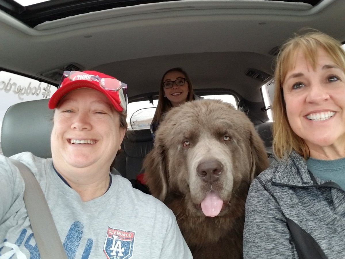 leestaton32's tweet photo. Road trip! #GrandCanyonBound #Funfifty #HaveNewfWillTravel https://t.co/VfgQ0i7E39