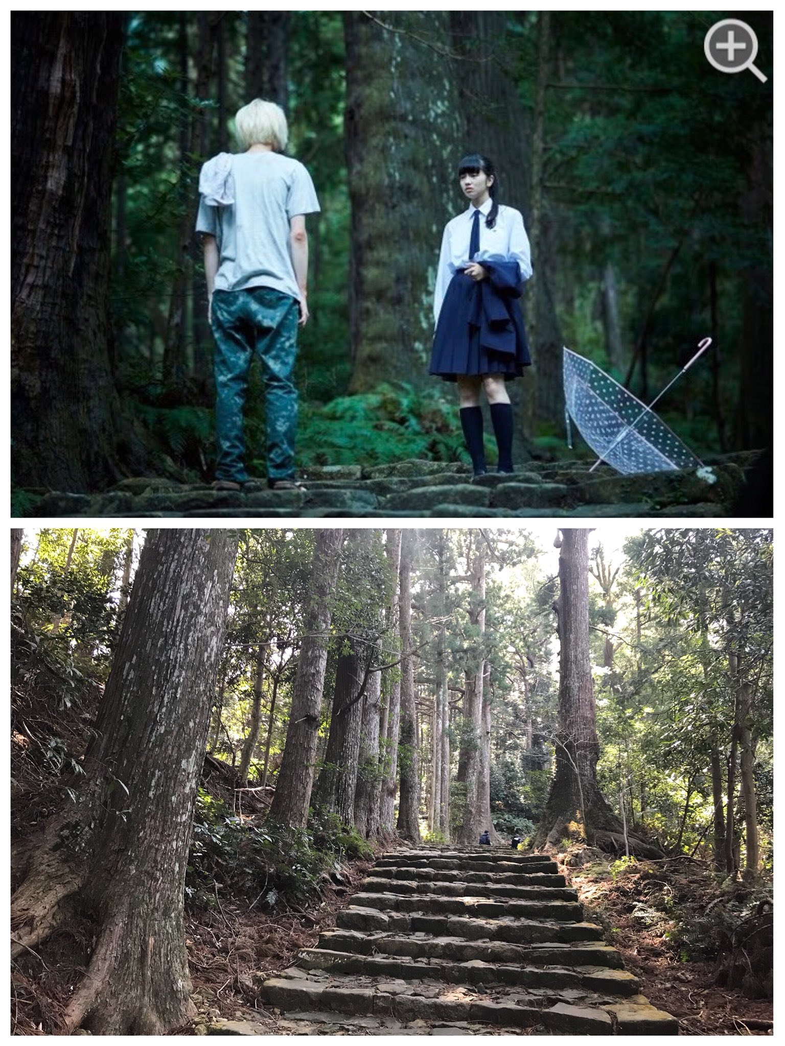 Saki 今日は家族で那智勝浦に行ってきた ので 溺れるナイフのロケ地巡り少しだけしてきました 地元和歌山 地元って言ってもうちから3時間かかる笑 でこんなに痛くて切なくて愛おしい映画が作られたと思うと 嬉しくて嬉しくて仕方ない さすがに大門坂