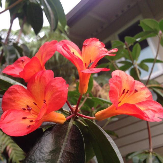 PrinceMaurcel3's tweet image. Mom Your A Famous Actress Please Help! Under The Bridge At 19th Street And Imperial! 347-931-2062 Leave Voice Mail Thanks!