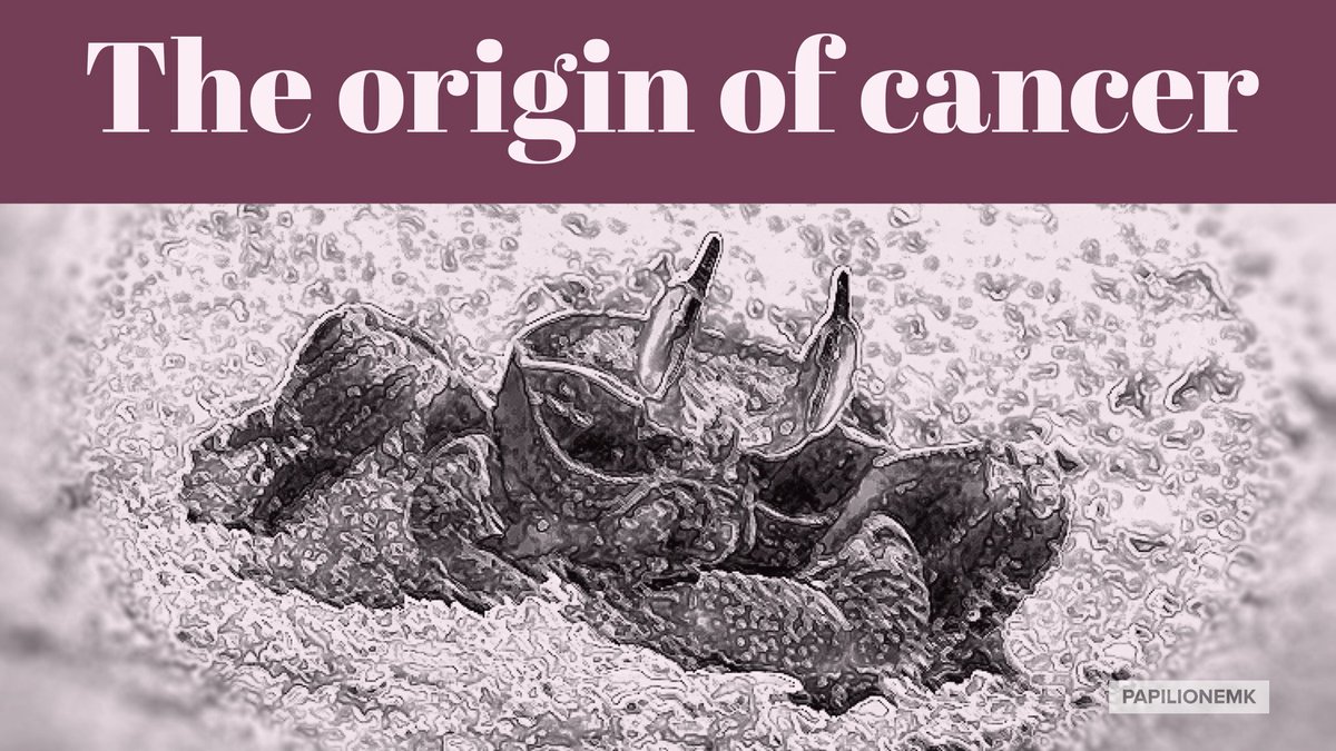 Hippocrates named masses of cancerous cells karkinos, which means crab in Greek.
#crab #karkinos #hippocrates #originofwords #cancer