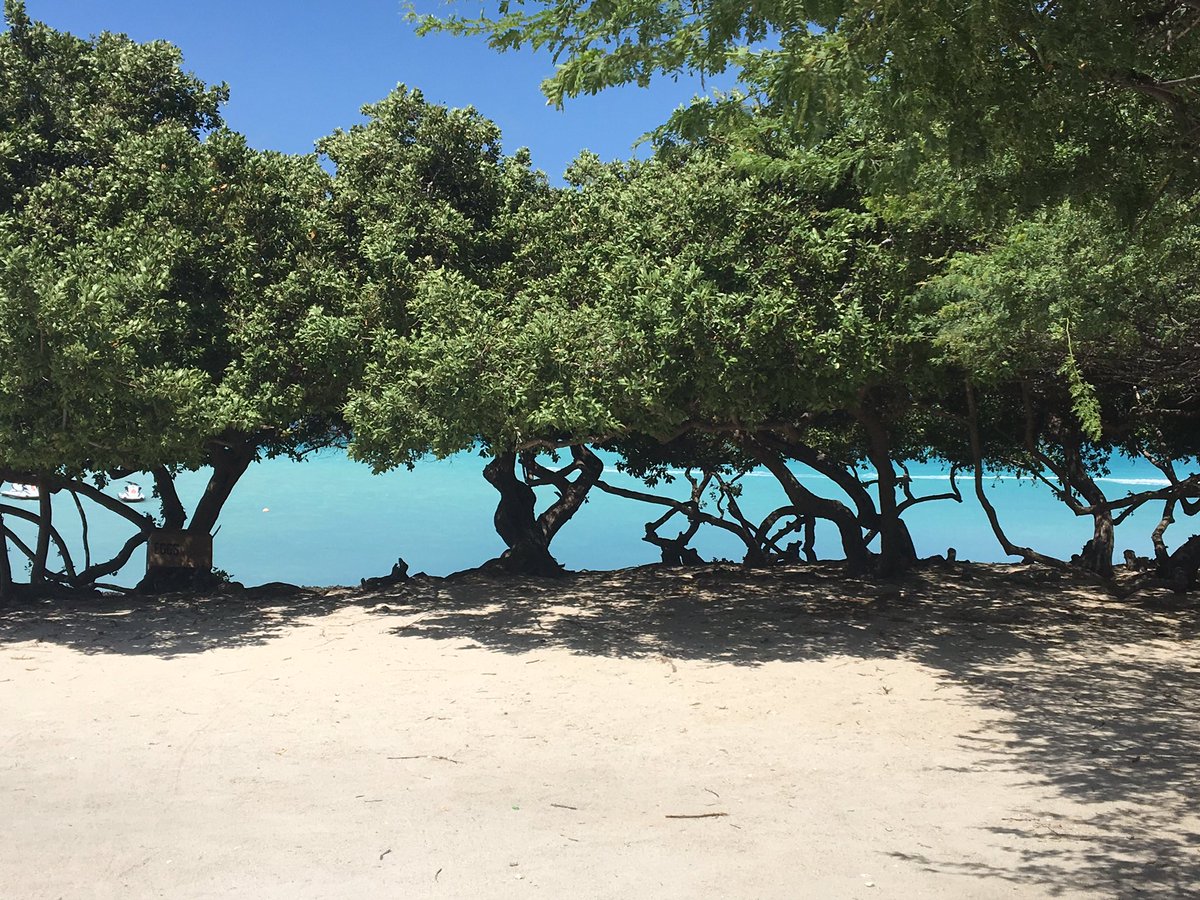 NBrusatore's tweet photo. ARUBA is a place you want visit https://t.co/AOsmiXcms2