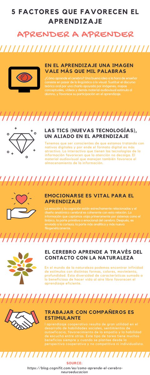 Patricia Gonzalez tweet media