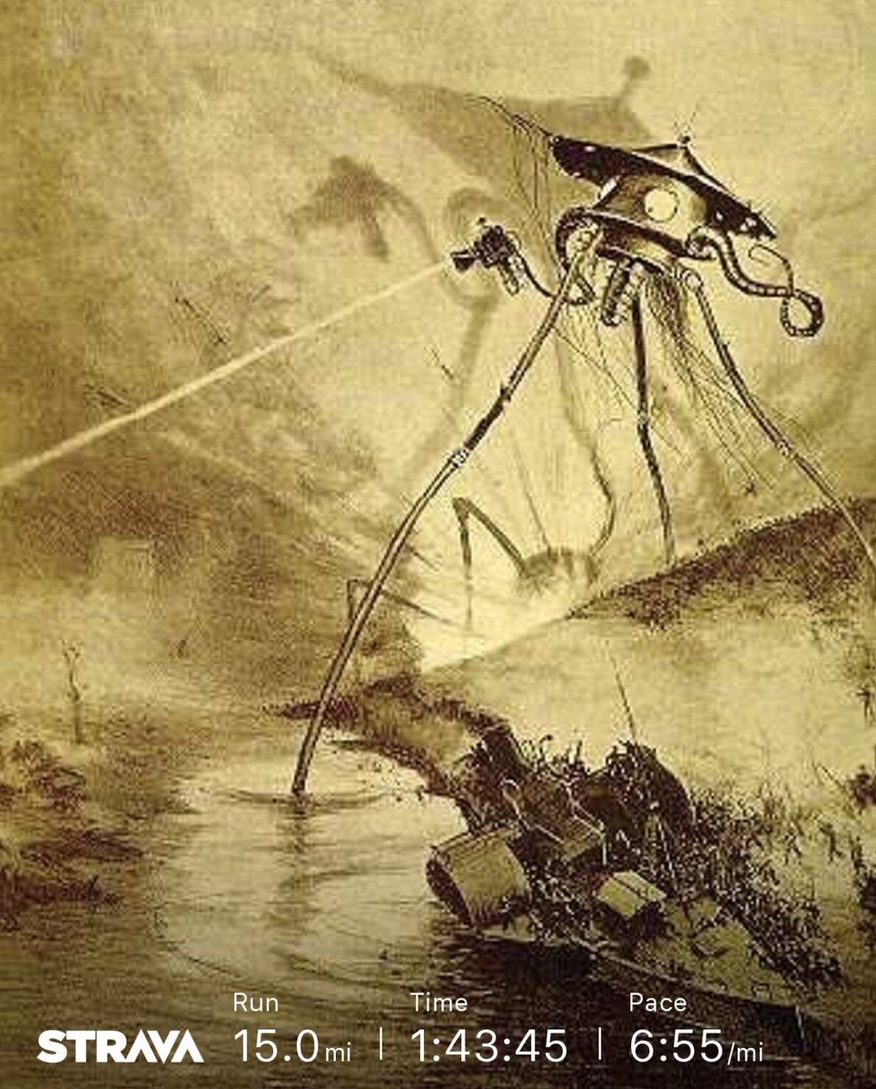 JezHallanim's tweet image. Ran through Horsell Common today.