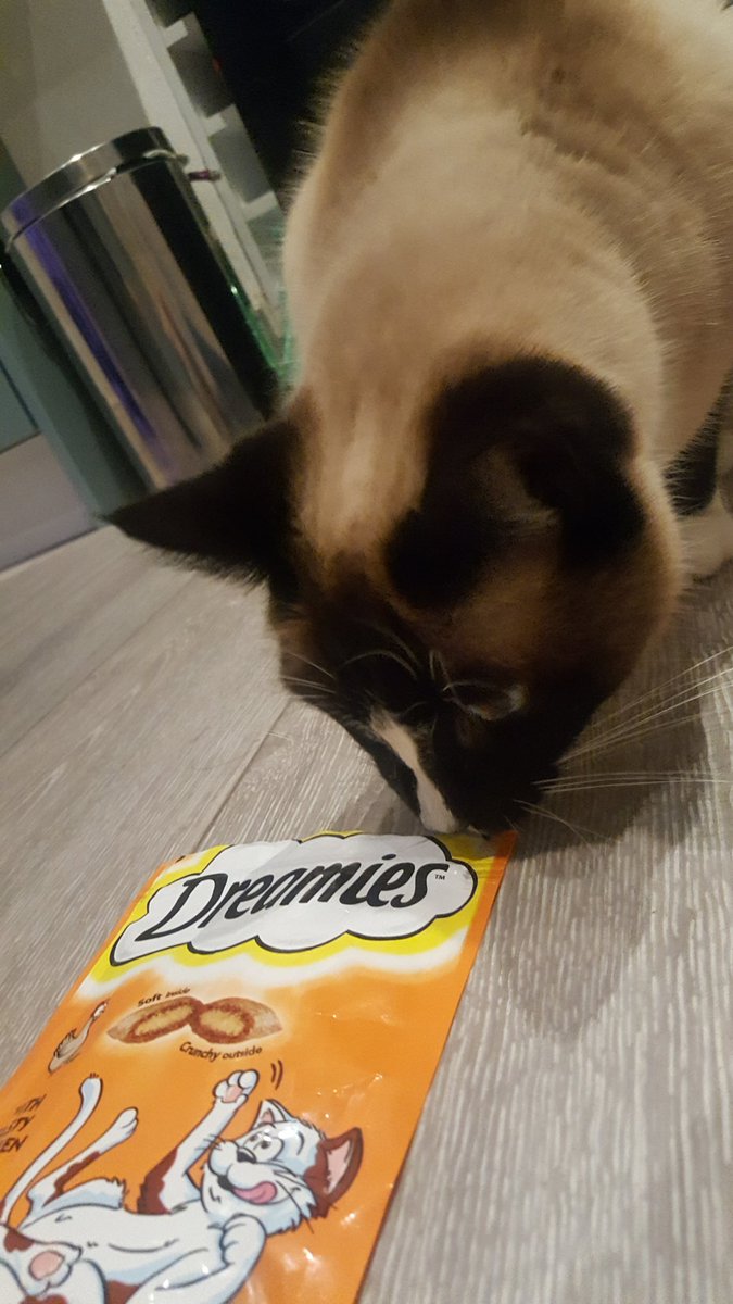 NCELCAMHS's tweet image. There are no good things about #catcancer, except maybe your humans letting you have as many #dreamies as you want ! #catchocolate