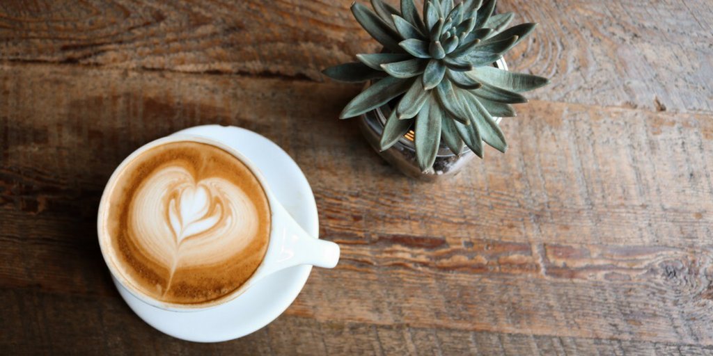 MemoryTots's tweet image. Perfect your brew with some of our essential accessories hand-picked by our trained team to make brewing easier!  bit.ly/2rERWs9