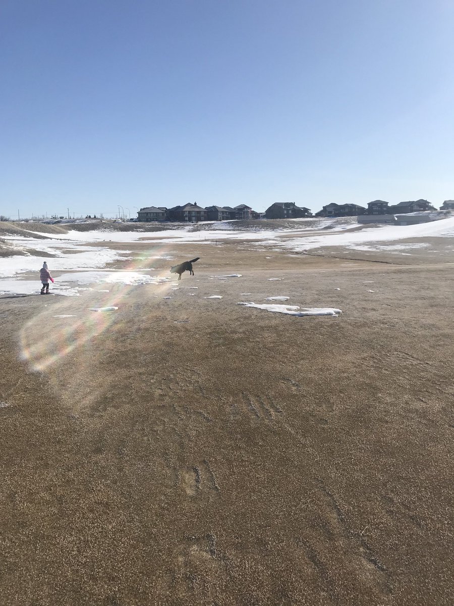 hpdesertblume's tweet image. Lots of snow has melted since Friday, won’t be long until we open the range. #medhat #desertblume #enoughwinter