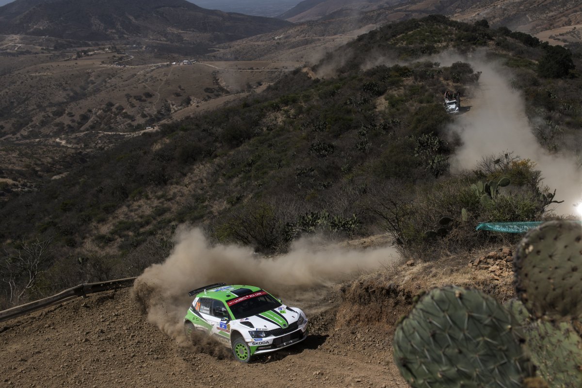 #WRC #RallyMexico 🇲🇽 SS21 (11.07 km): Another fastest time on the penultimate stage for the #WRC2 leader Pontus #Tidemand; P2 in the stage results for his teammate Kalle #Rovanperä (+0.5 sec). Just the 2nd pass through the same stage to go.
📷 Jaanus Ree / #RedBull Content Pool