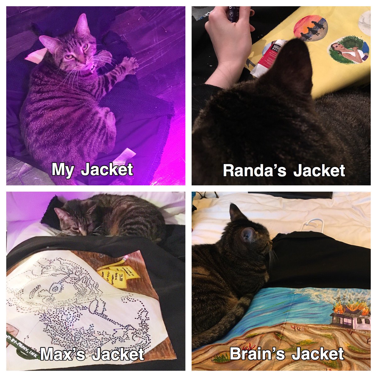 After painting four jackets, it’s clear to me that my cat has anointed herself guardian of #TheWalkingGallery.