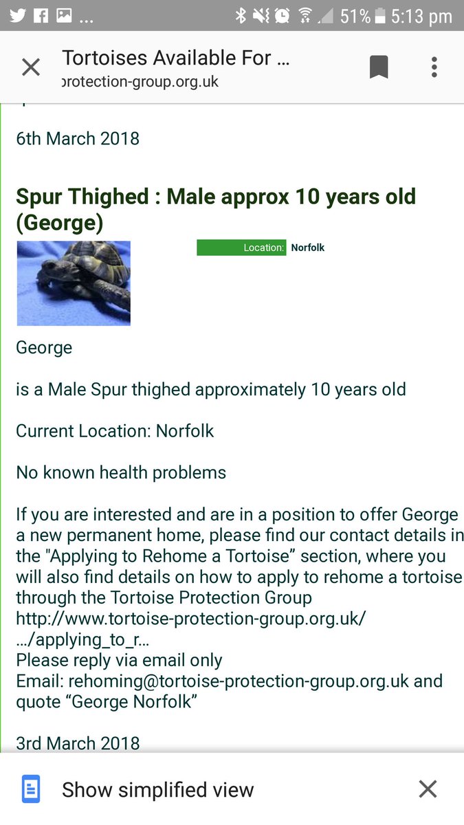 TortProtection's tweet photo. George the #spurthighed #tortoise needs a new home. Can you help by retweeting? #norfolkhour #Norfolk #AdoptDontShop #AdoptDontBuy https://t.co/cDHQqWEDUd