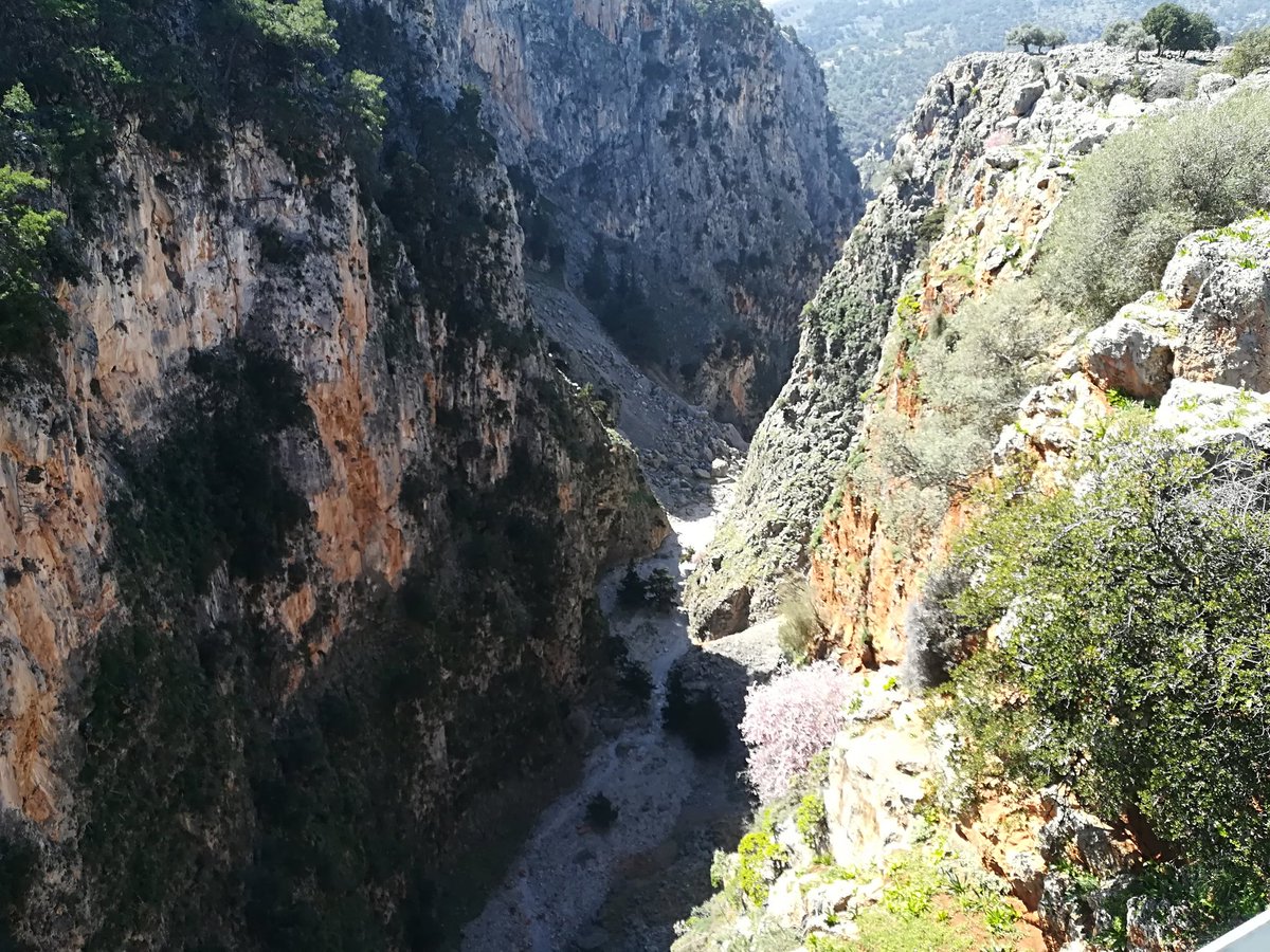 taxi2crete's tweet photo. One more private #excursion up to the #mountains of #Crete. Today we visited the #Aradaina Bridge at #Anopoli #Sfakia. The #view was amazing and the #landscape was unique #wild. #creatememories #family #couples #discover #travel #friends.
https://t.co/OBMlBZ2BOi https://t.co/KFStvMGBJH