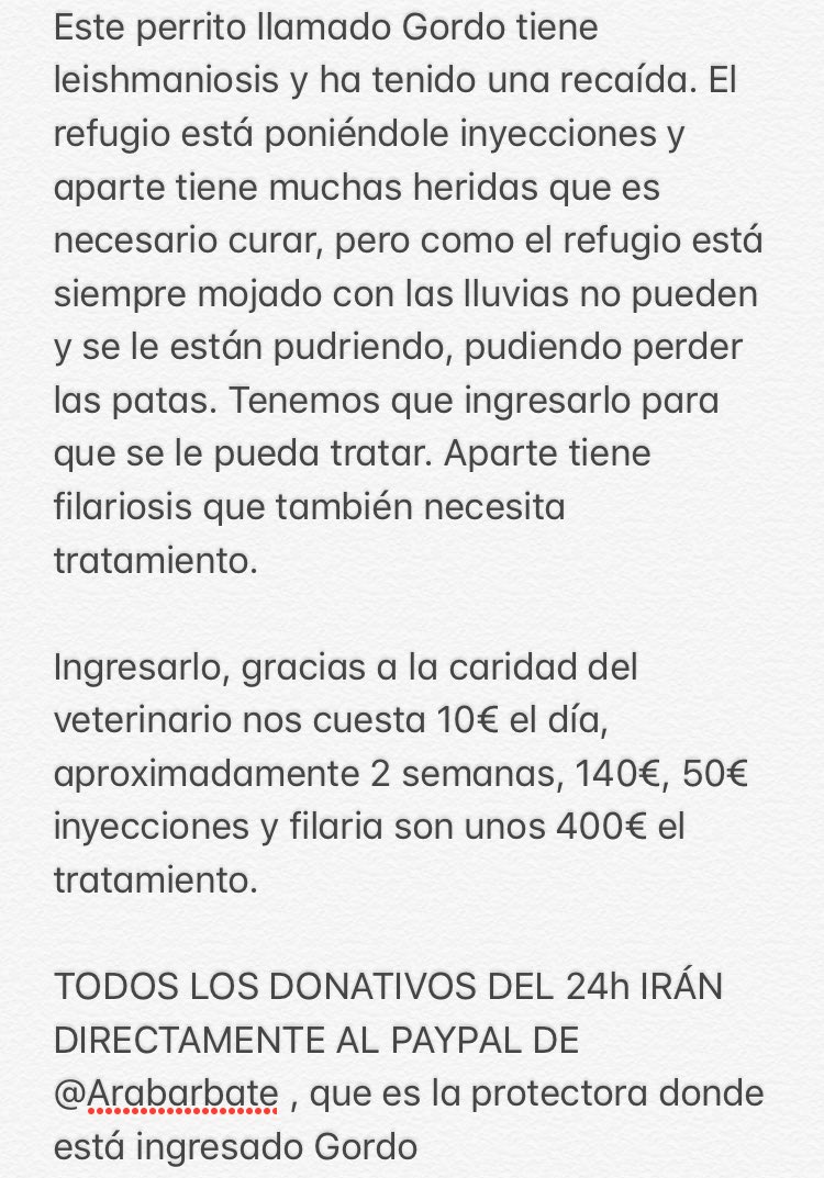 IamLokys's tweet photo. ESTO ES IMPORTANTE

Mañana hay stream BENÉFICO de URGENCIA MÁXIMA.

Todos los DONATIVOS irán directamente al PayPal de la Asociación de animales @arabarbate 

Empieza mañana a las 12 de la mañana en https://t.co/kCQlbAxaw6

Pido MÁXIMA DIFUSIÓN PORFAVOR, Gordo nos necesita. https://t.co/Rmn5bEDOfN