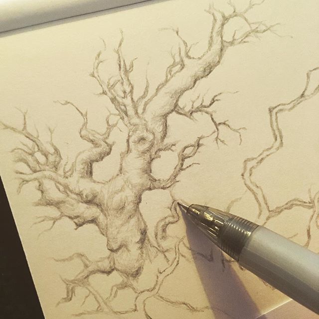 jess_purser's tweet photo. Sketch day ✏️ #pencildrawing #sketch #drawing #treedrawing #gnarly #gnarled #gnarledtree #osktree #oldoak #ancientoak #brianfroud #arthurrackham #legendary_art_ #nature #treehugger #art #artist https://t.co/kNzQKddfay https://t.co/ITyPLl5h2N