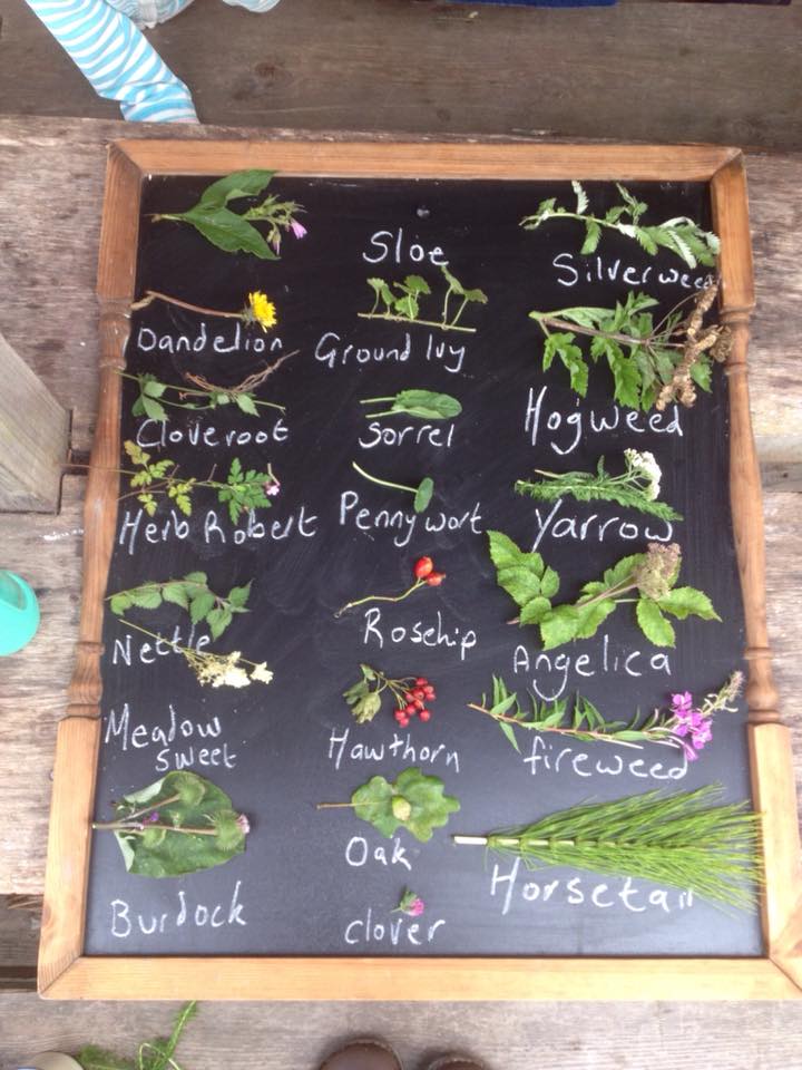 Deli Delights Kitchen (@delidelights1) on Twitter photo So excited to announce that the lovely Jade Mellor from Wild Pickings will be coming to the Deli Delights kitchen on Saturday 7th April, we will be foraging around Aberporth, more details coming soon! <a href="/wildpickings/">jade mellor</a> So excited to announce that the lovely Jade Mellor from Wild Pickings will be coming to the Deli Delights kitchen on Saturday 7th April, we will be foraging around Aberporth, more details coming soon! <a href="/wildpickings/">jade mellor</a>