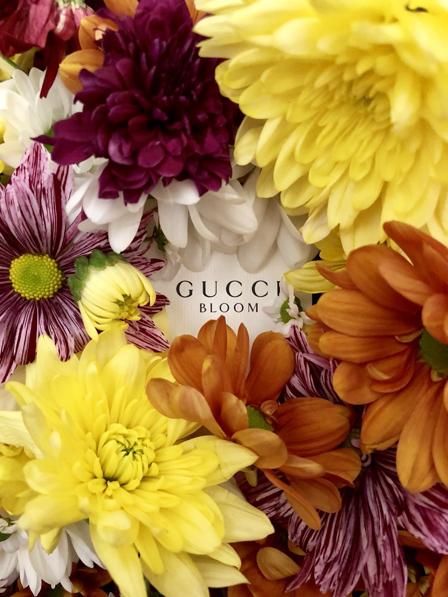 Belfast0012's tweet photo. Bloooomm 😌🌺🥀🌹🌻🌼🌸💐 @TPSPeople @FragranceFDN_UK #NFWflatlay #ScentMemories #ThePerfumeShop #gucci #inbloom #mothersdayuk #mum #perfume #NationalFragranceWeek https://t.co/Z2PKDXi6aw