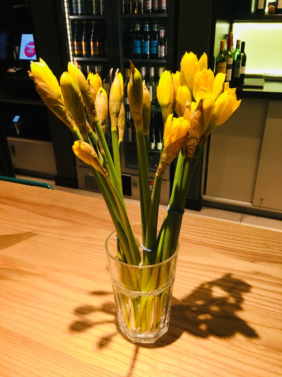 Mini bunches of Daffodils for all our female guests today! Lovely little gesture from our Head Housekeeper #mothersday 💐🌼 <a href="/jmb0606/">John Mark Brennan</a> @Valerie_PI3R <a href="/hannahcork93/">Manuel SD</a> <a href="/SDEBDD/">simon ewins</a>