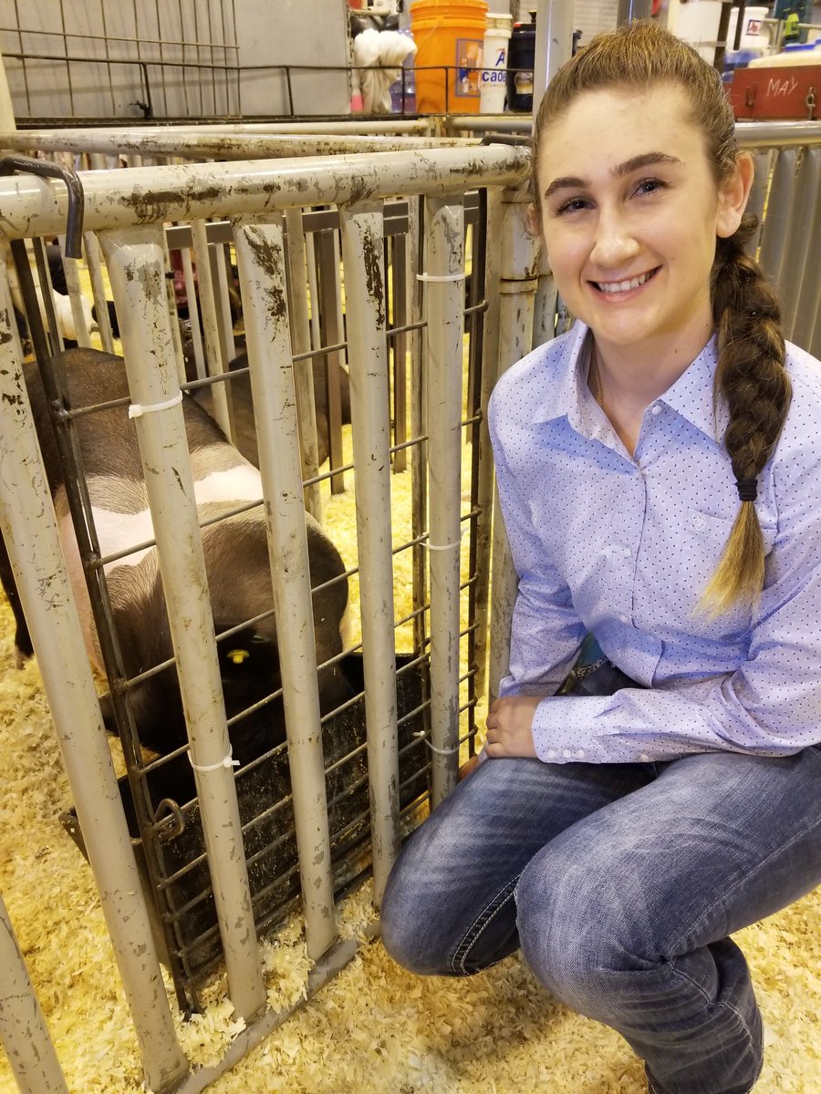 ClementsFFA's tweet image. It's almost show time! Good luck Ciara with your Hampshire barrow! @CHS_Rangers #houstonrodeo