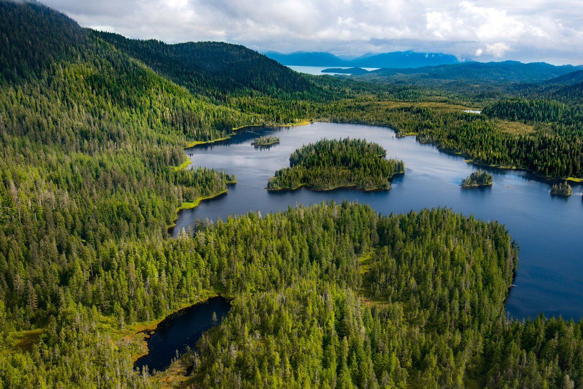 No Destinations tweet media