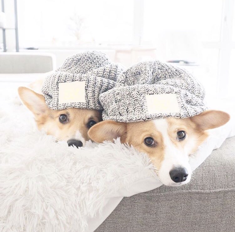 TWO is better than one! Don’t forget to set your alarms for LYM Buy One, Get One starting at 12 AM CT tomorrow, March 12!!