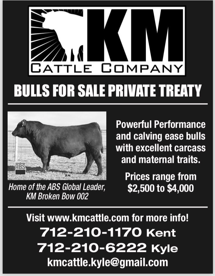 KM Cattle Company tweet media