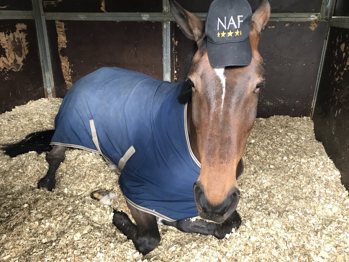 Colette enjoying a lazy Sunday afternoon in bed😉😴❤️ #TeamNAF