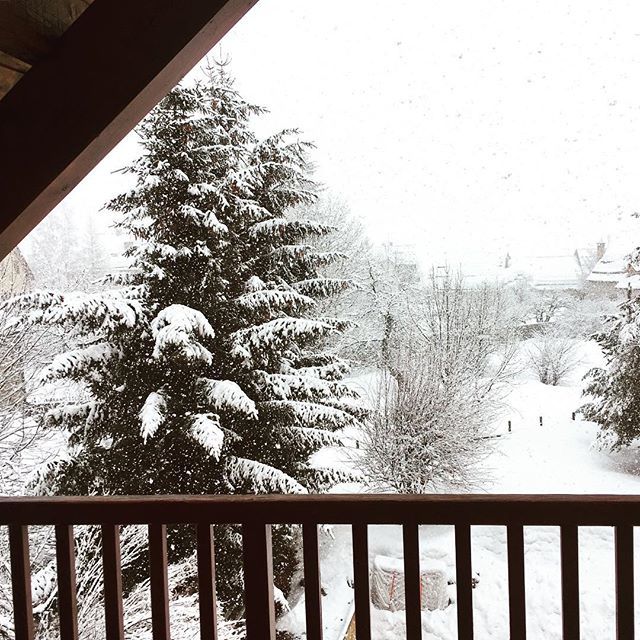 aoifecmcc's tweet photo. Beaucoup de neige🌨🌲⛷ #snow #monetierlesbains #serrechevalier https://t.co/G8lvX3Gm1b https://t.co/FbbUqgNt0d