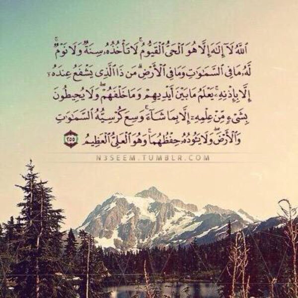 محمد بن هزاع tweet media