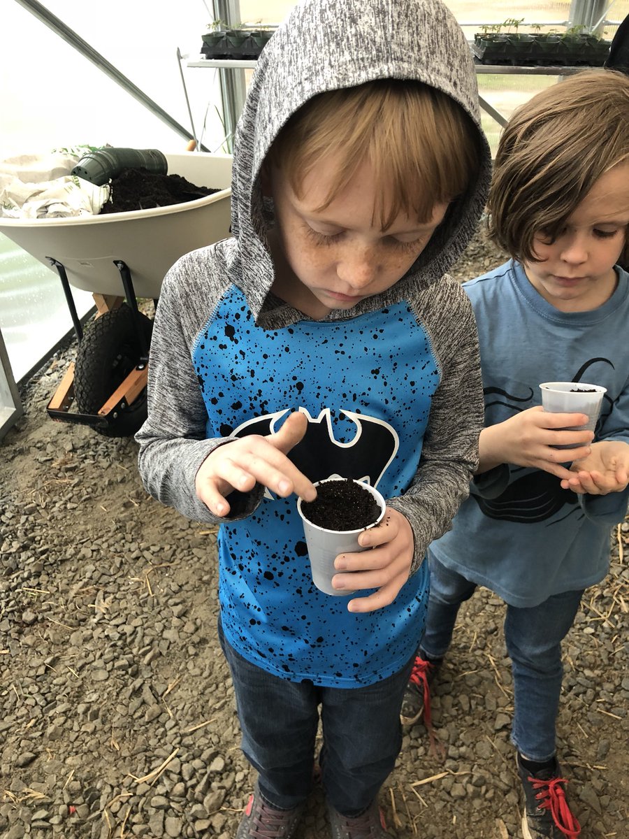 MrsTraceyKing1's tweet photo. Hartwell Service League helped our 2nd graders plant milkweed seeds in our greenhouse. We are going to transplant the milkweed plants to our butterfly beds on the playground in a few weeks! Thanks for our seeds &amp; teaching is about this plant! #OneHartBeat #NHElemSTEM https://t.co/vX0wXScNVR