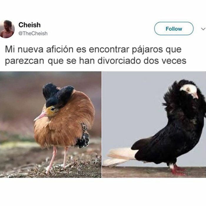 yisucrist's tweet photo. sufisiente internet x hoy https://t.co/6CgRoy2m4S