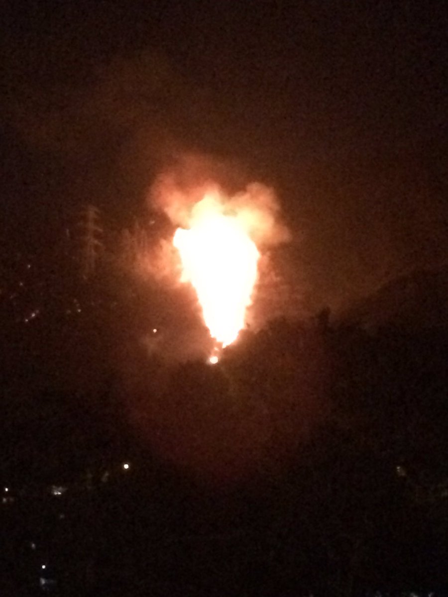 Reporte Ya tweet media