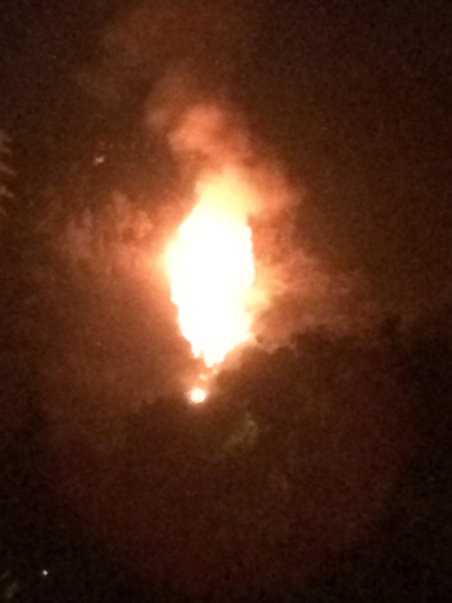 Reporte Ya tweet media