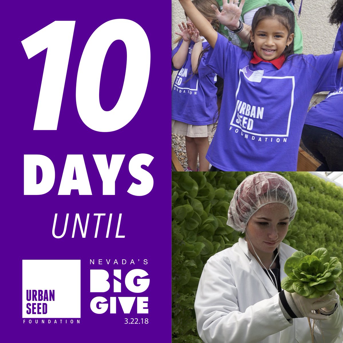 10 Days until <a href="/nvbiggive/">NVBigGive</a>! Support UrbanSeed Foundation and help build a more food secure valley through school gardens, urban ag. policy and nutrition education. 
#theneedtofeed 
bit.ly/2oSYFhG 
#urbanseed #lasvegas #stayfresh #GrowingTogether