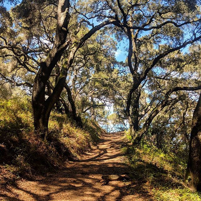 ChristieRohara's tweet photo. The rain last night made for a perfect gravel ride today! 70 and sunny, such a nice day :) #getoutside #foothillcyclery #yaybikes #beautifulday ☀️ #gravelbike #gravelgrind #bikes https://t.co/NUwuVot09K https://t.co/M7ijzjEu7b