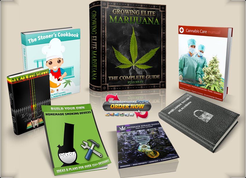 Kush_Seeds's tweet photo. The BEST FULL GUIDE on growing #Cannabis available, from edibles to medical use, grow BIG DANK BUDS https://t.co/5T9FswMPYW  #FREE #WEED #cbdoil https://t.co/Rwr1qe6FXX