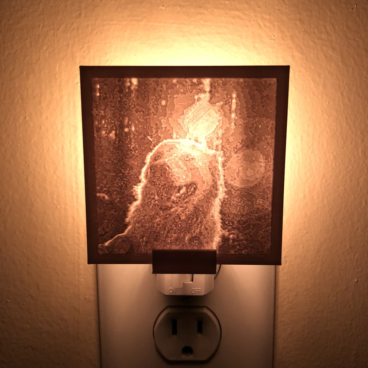 LLNightLights tweet picture