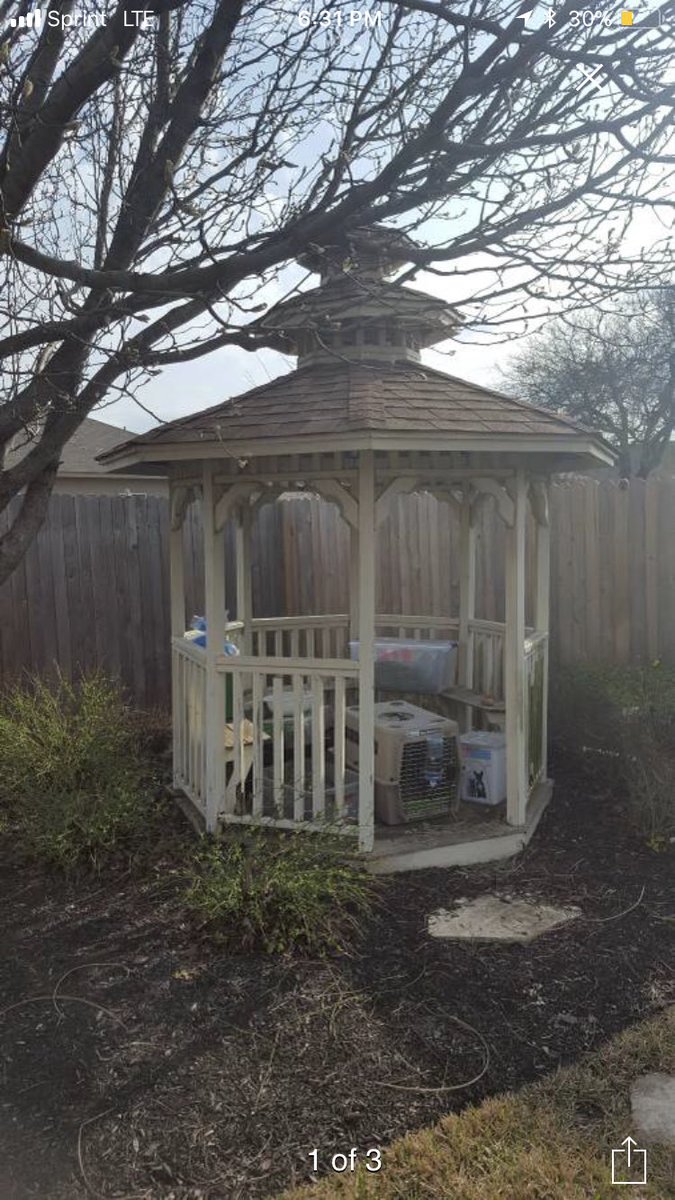 Lexidean17's tweet photo. https://t.co/hpfkiplD5f HEY @griffinmcelroy I JUST MOVED TO AUSTIN AND YOU'RE THE ONLY PERSON I KNOW WHO MIGHT HAVE A BACKYARD DO YOU WANT THIS GOOD FREE GAZEBO https://t.co/ESmgqBzdLn