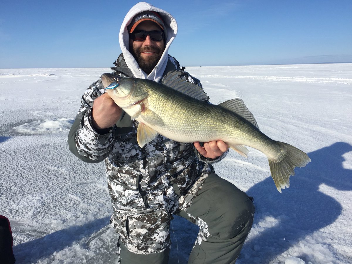 EdwinDundee5's tweet photo. #Lake Winnipeg #Greenback’s https://t.co/hjCEMXvpT4