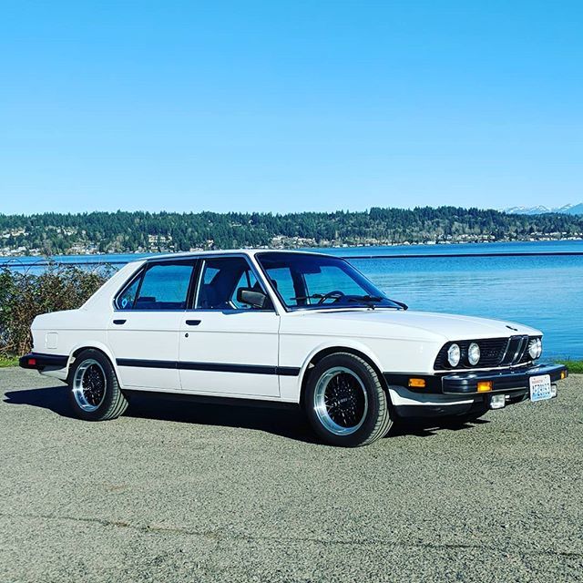 tigkindel's tweet photo. Maytag's back with the RZs. #bmw #e28 #528e #m20b27stroker #bbs #rz #alpine https://t.co/JbYbEBMqmF https://t.co/gwkGNN2QAF